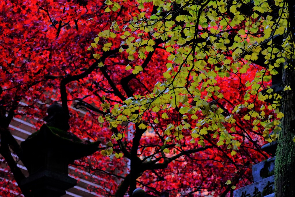 散歩の途中で、遠出　3