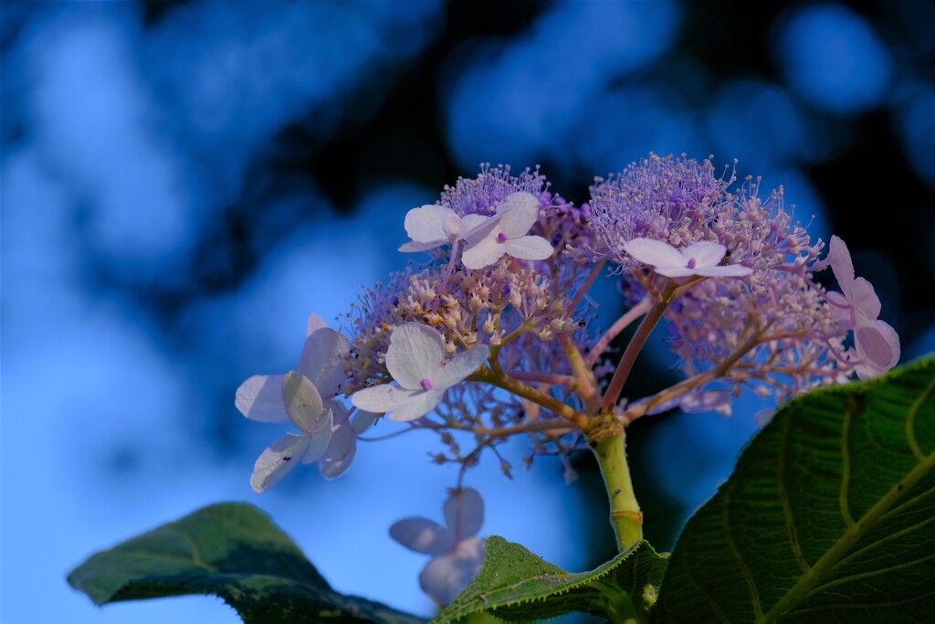 散歩の途中で。Ⅱ