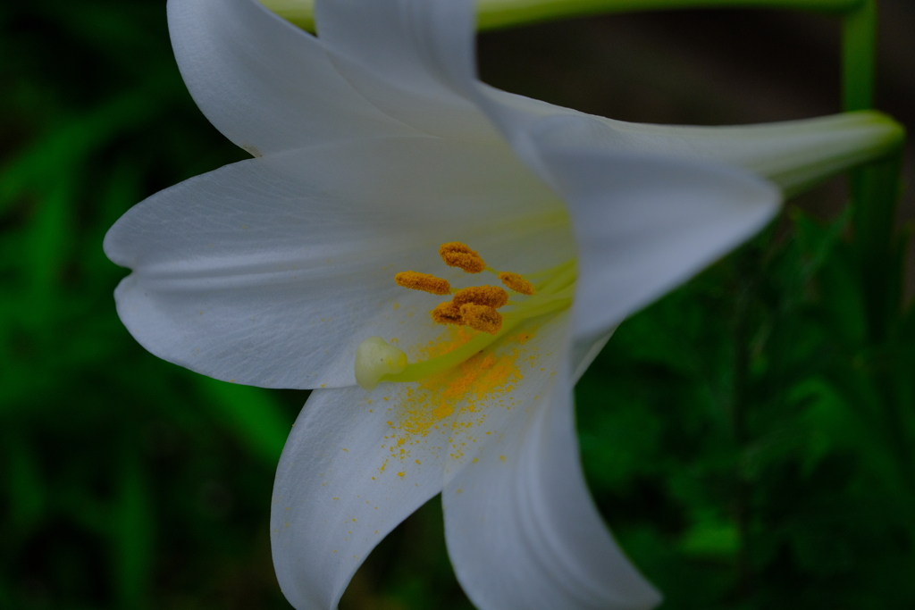 散歩の途中で。⑥