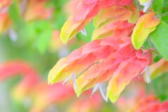 散歩の途中で。8