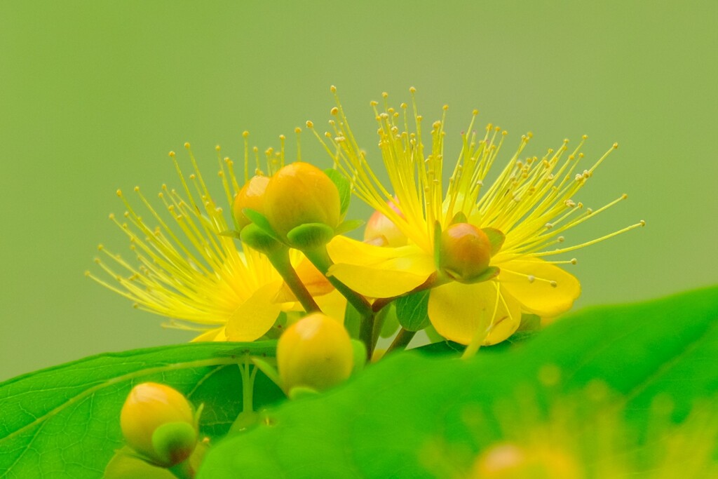 (9)散歩の途中で。7