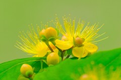 (9)散歩の途中で。7