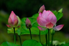 散歩の途中で。Ⅱ