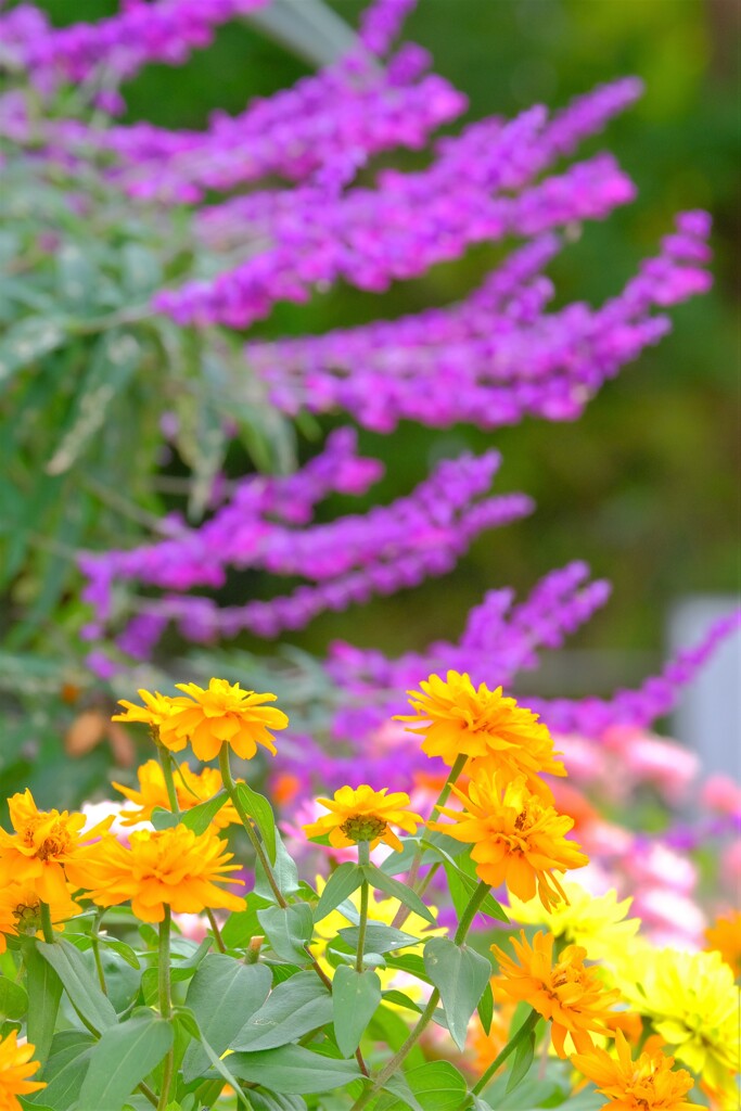 散歩の途中で。１