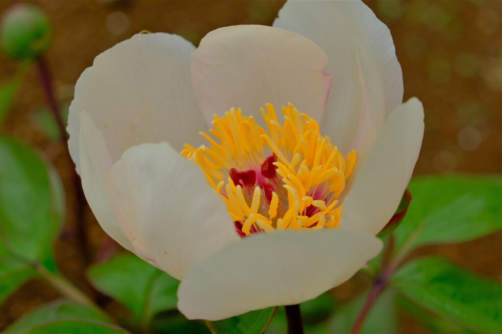 散歩の途中で。6