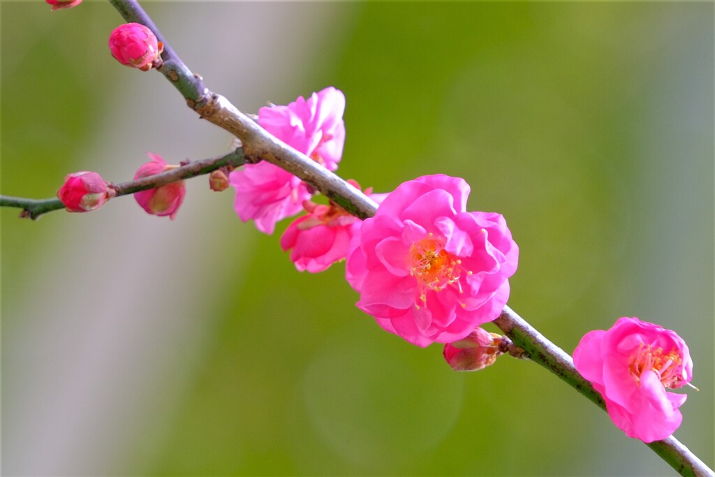 散歩の途中で。Ⅲ