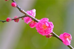 散歩の途中で。Ⅲ