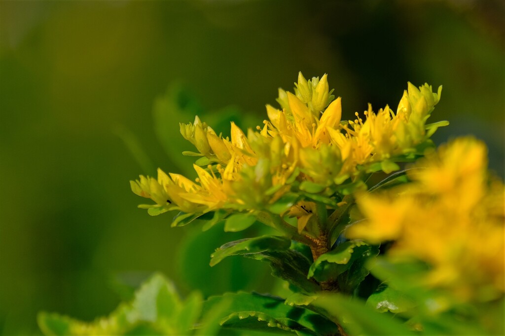 散歩の途中で。4