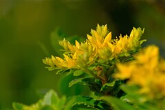 散歩の途中で。4