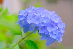 散歩の途中で。