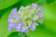 散歩の途中で。⑤