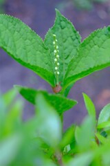 散歩の途中で。②