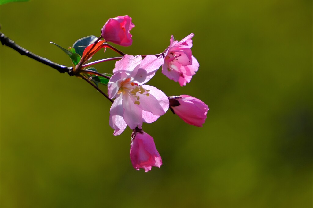 散歩の途中で。Ⅱ