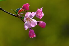 散歩の途中で。Ⅱ