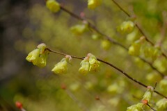 散歩の途中で。⑦