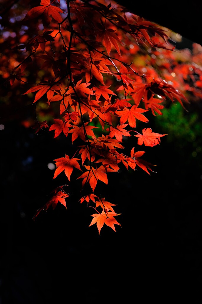 散歩の途中で、Ⅰ