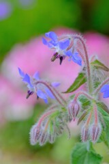 散歩の途中で。④