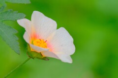 （２）散歩の途中で