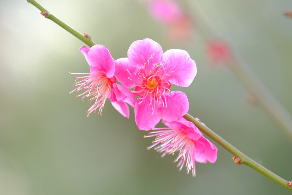 散歩の途中で。Ⅸ