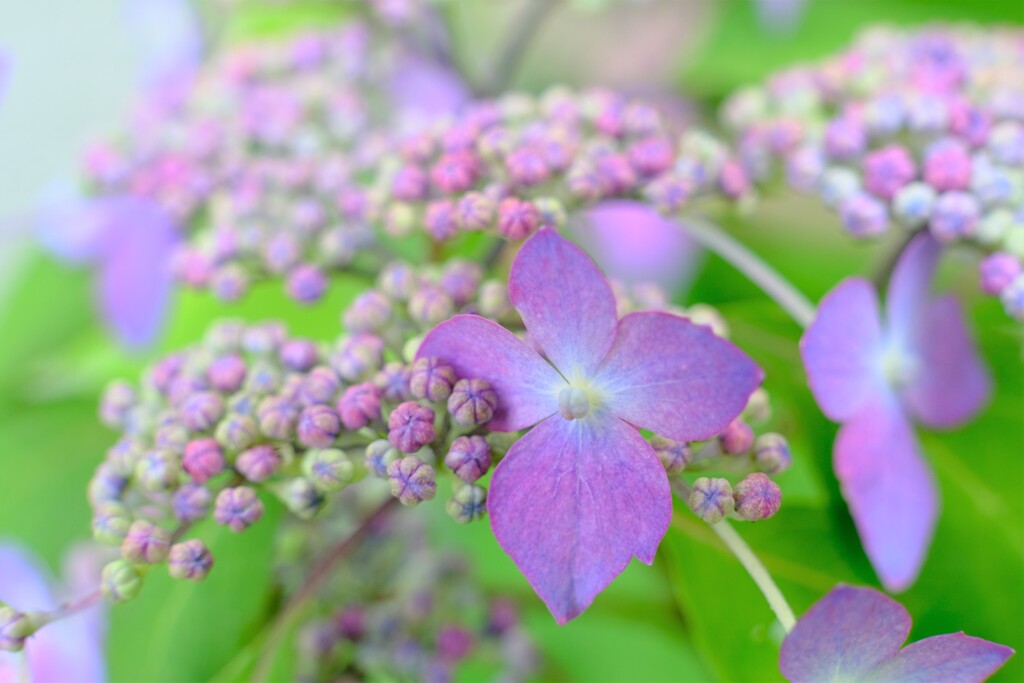 散歩の途中で。④