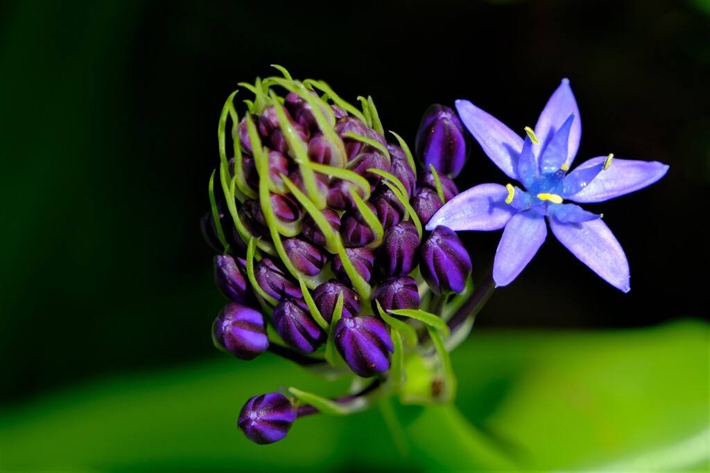 散歩の途中で。6