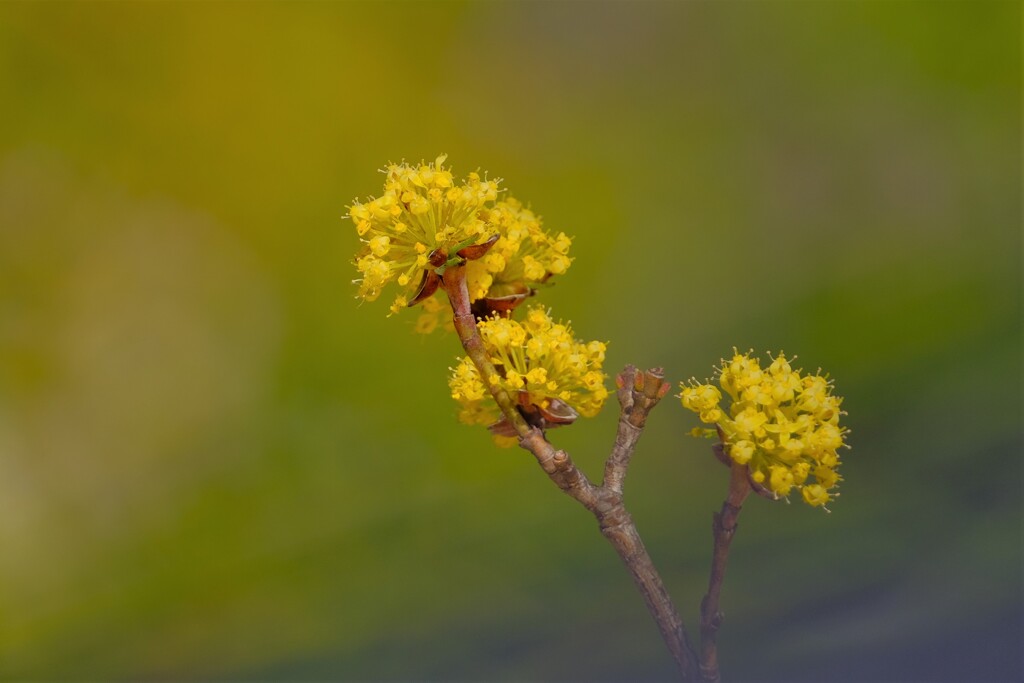 散歩の途中で。Ⅹ