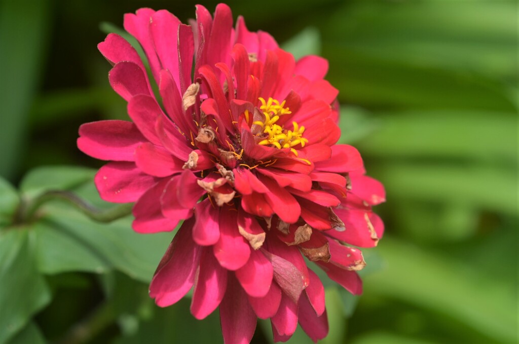 散歩の途中で。Ⅳ