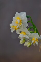 散歩の途中で。7