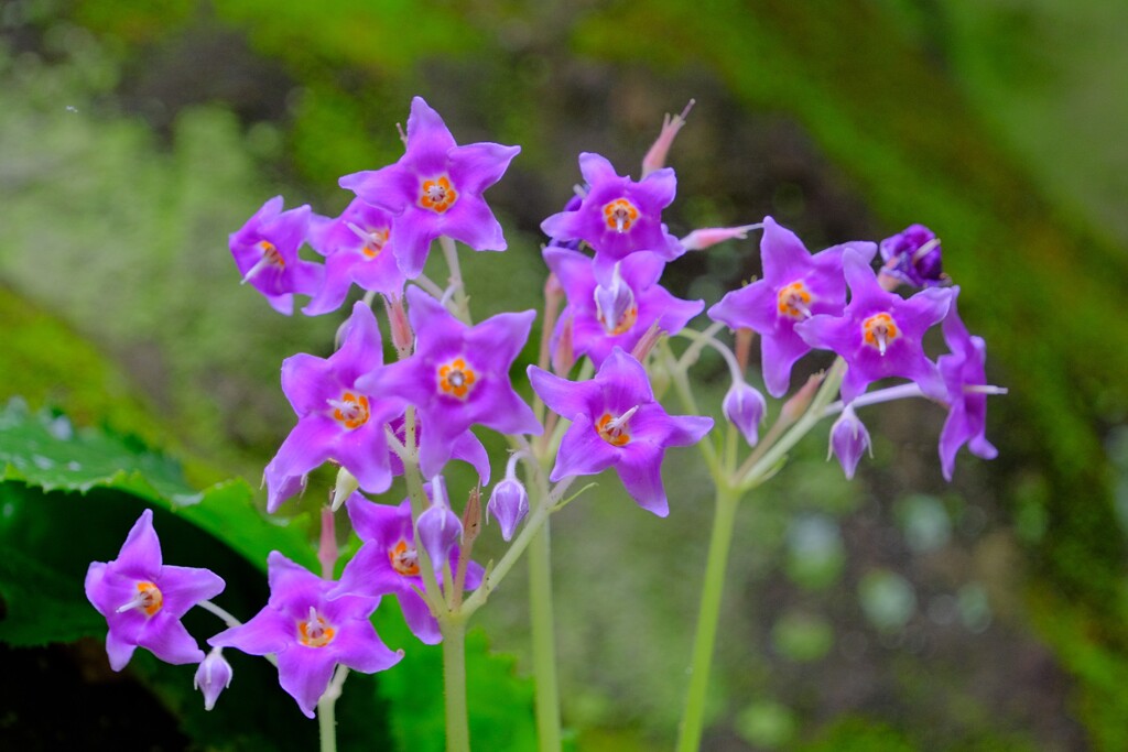 散歩の途中で。③