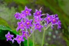 散歩の途中で。③