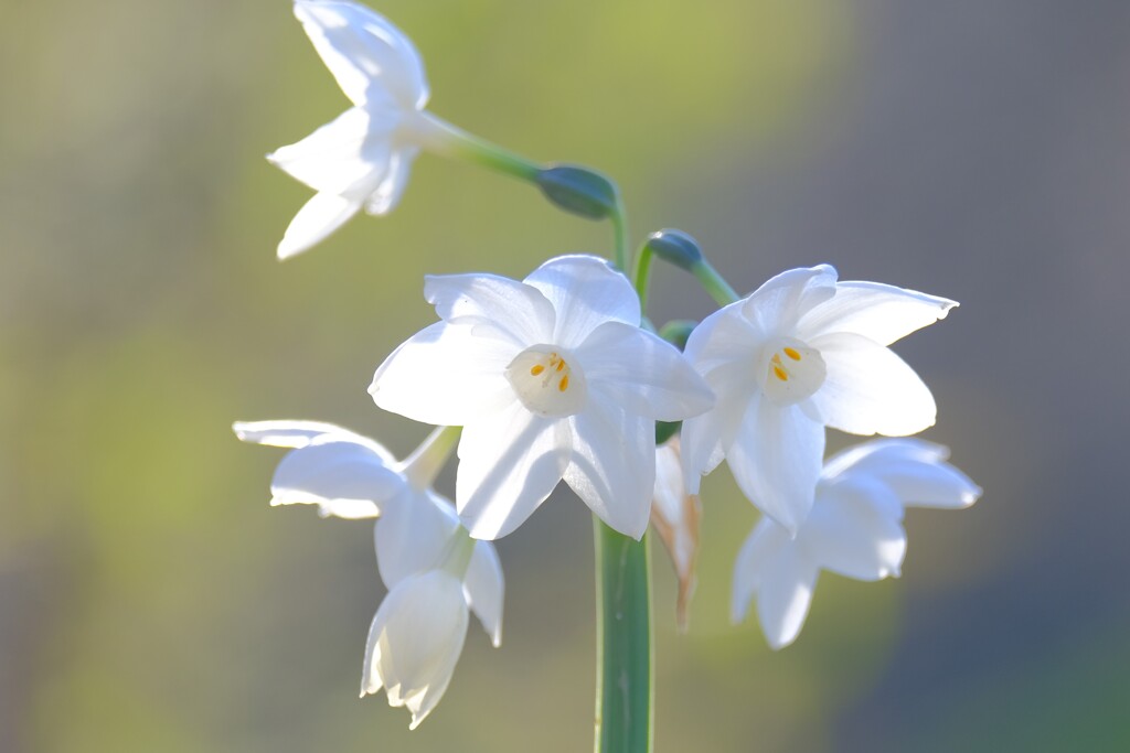 散歩の途中で。Ⅱ