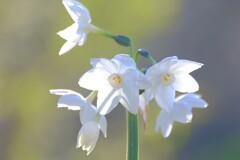 散歩の途中で。Ⅱ