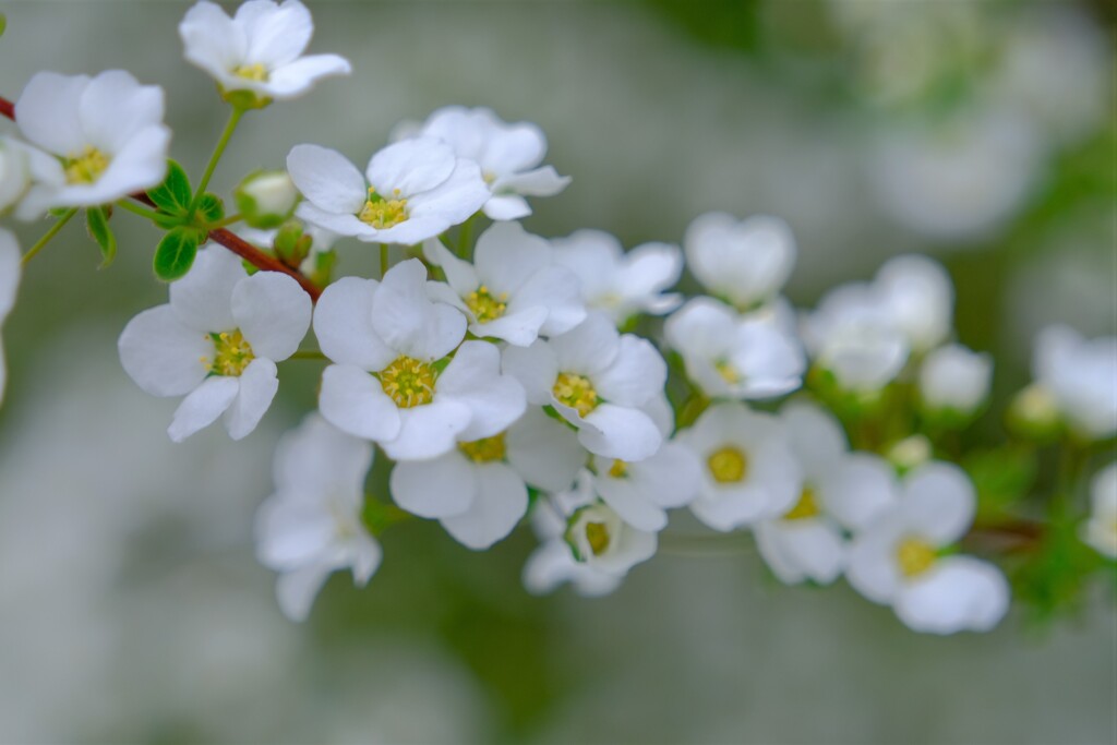 散歩の途中で。10