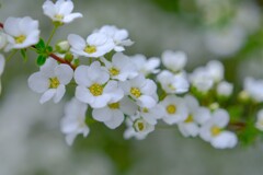 散歩の途中で。10