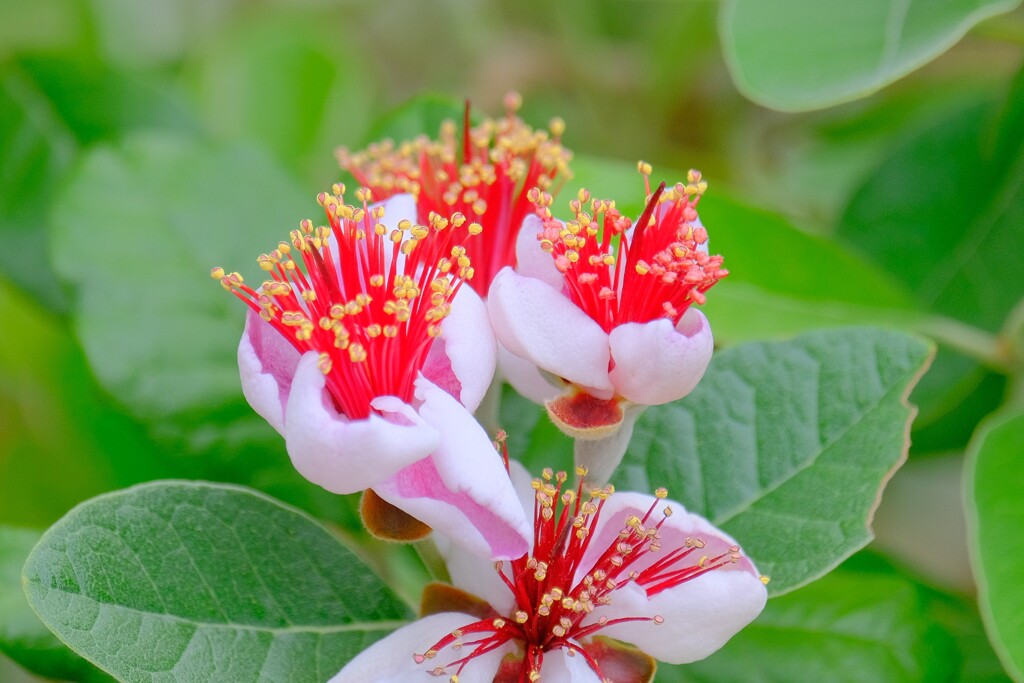 (10)散歩の途中で。6