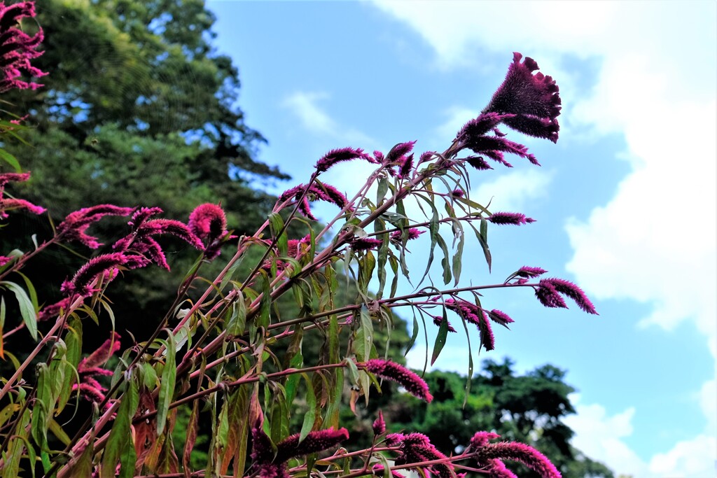 散歩の途中で。②
