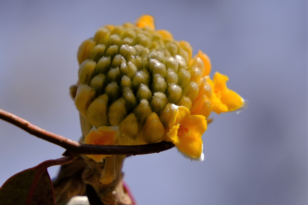 散歩の途中で。Ⅴ
