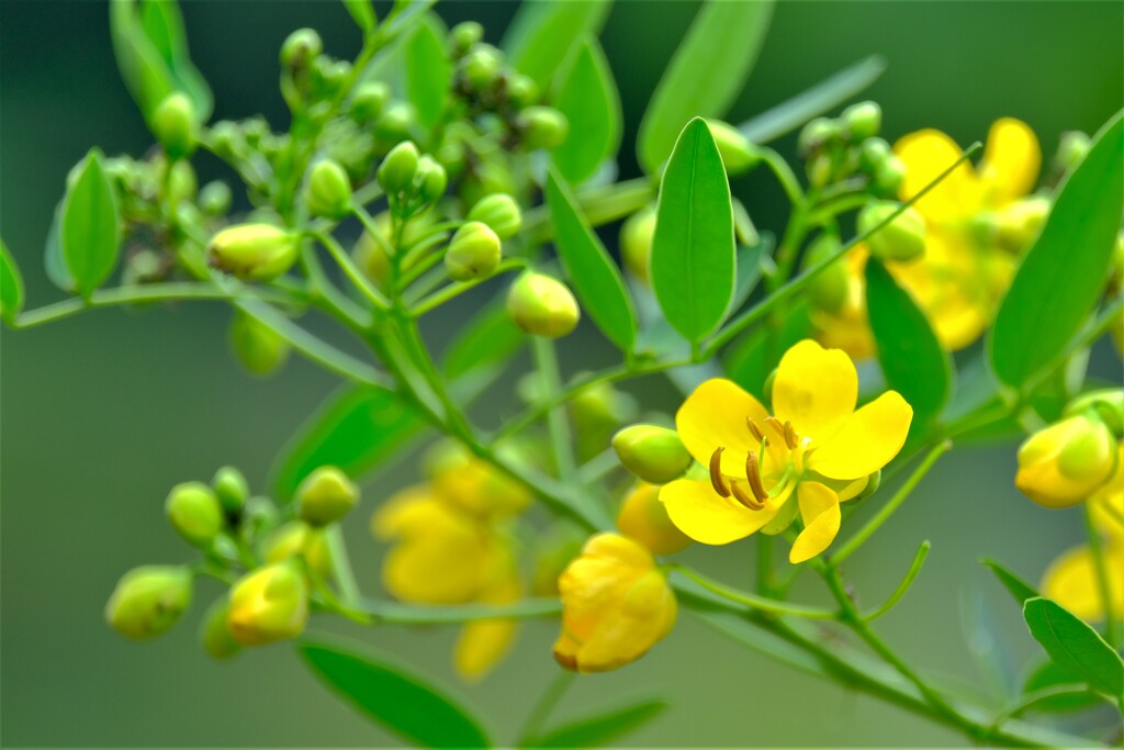 散歩の途中で。Ⅴ