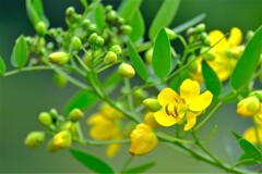 散歩の途中で。Ⅴ