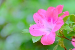 散歩の途中で。