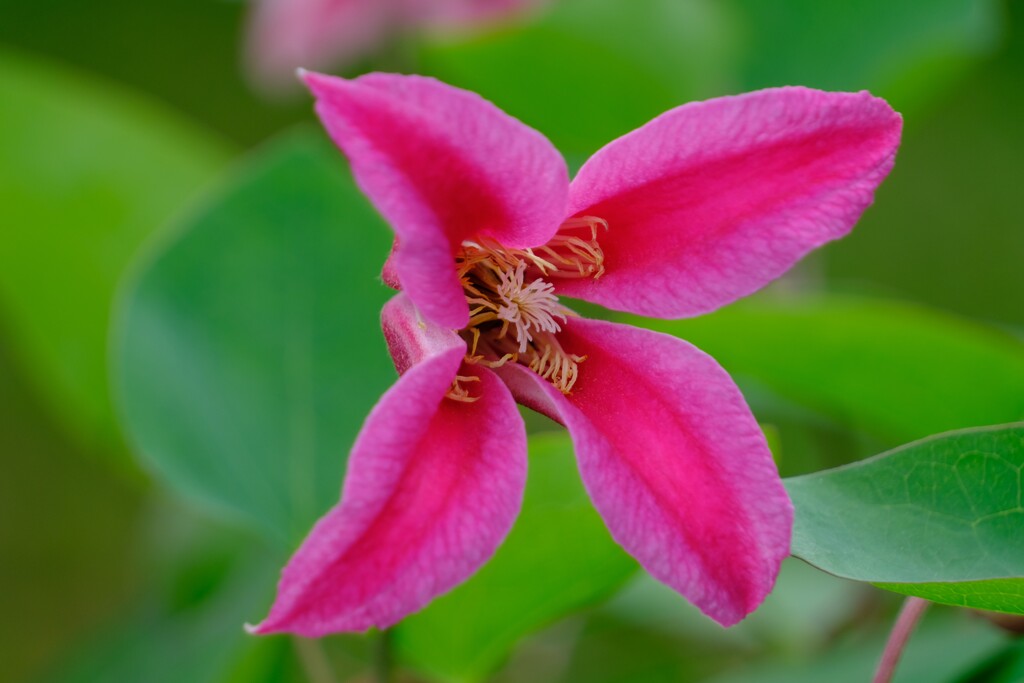 散歩の途中でⅩ