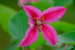 散歩の途中でⅩ