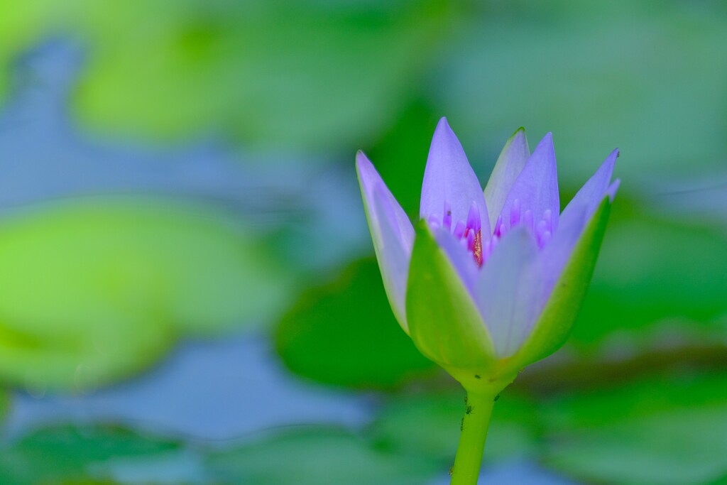 散歩の途中で。