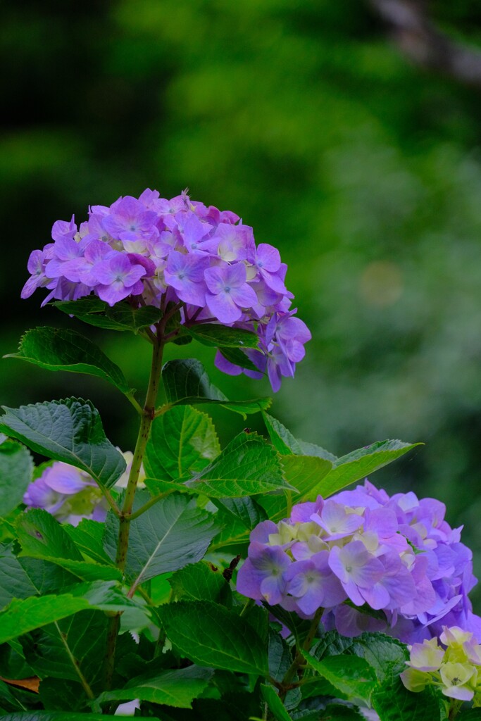 散歩の途中で。1