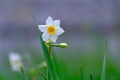 散歩の途中で、3