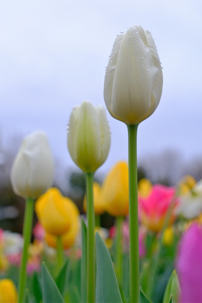 散歩の途中で。②