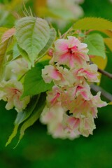 散歩の途中で。⑦