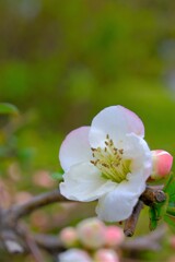 散歩の途中で。7