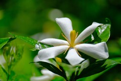 散歩の途中で。Ⅴ