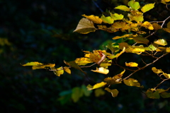 散歩の途中で、6